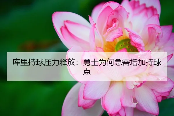 库里持球压力释放：勇士为何急需增加持球点